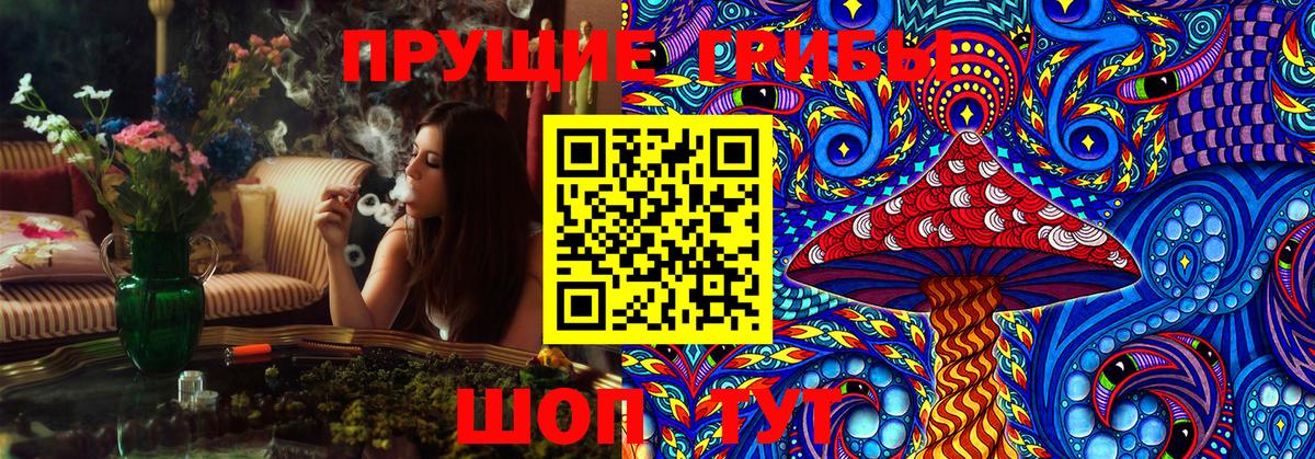 Галлюциногенные грибы Psilocybe  Вход с VPN  Мценск 